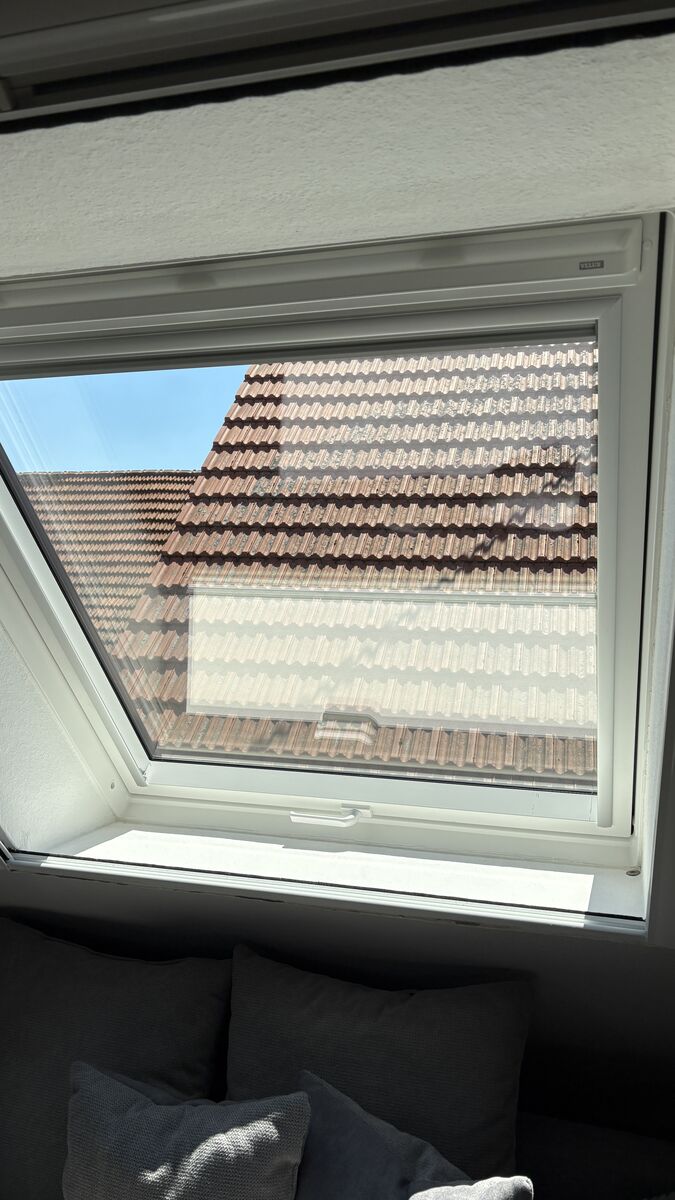 Fensterreinigung Hamm am Rhein - Detailarbeit und Präzision