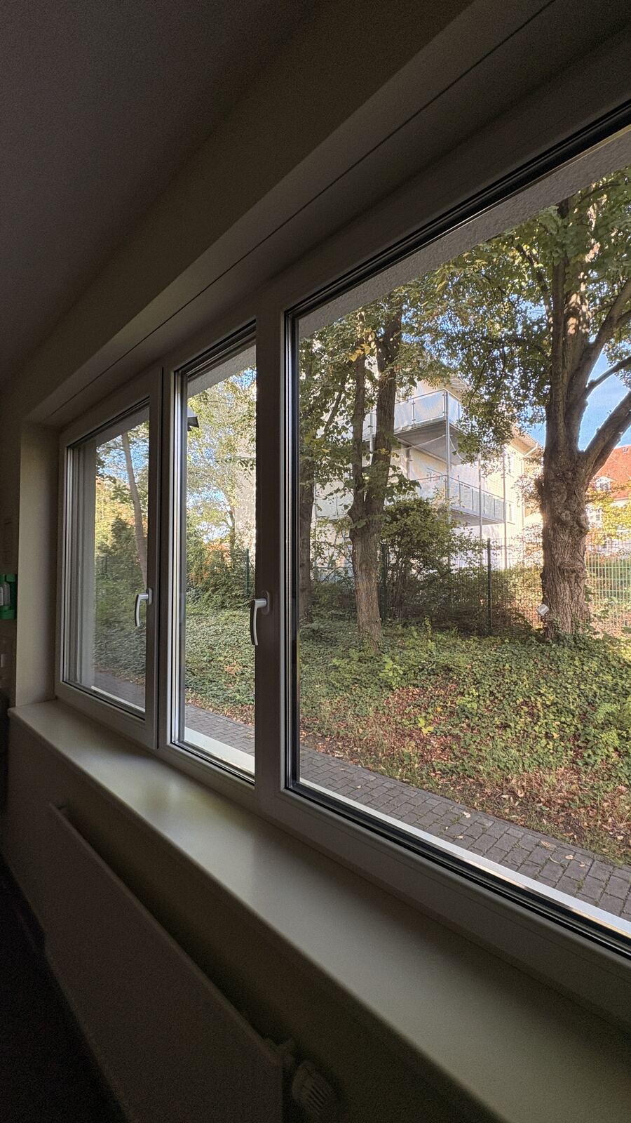 Fenster Glasreinigung